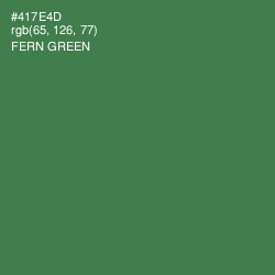 #417E4D - Fern Green Color Image